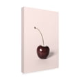 thumbnail image 4 of Trademark Fine Art Pictufy Studio Single Cherry Canvas Wall Art, 4 of 4