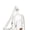 White, variant on Wrangler Crossbody Clear Sling Bags for Women Stadium Approved Cross Body Purse for Sports Events Concerts