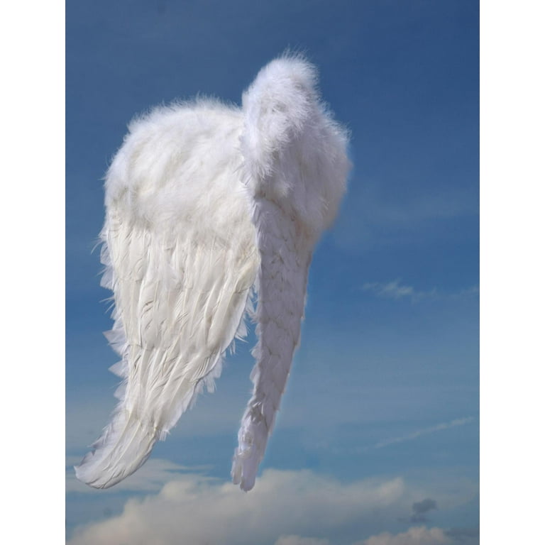 Angel Wings Wall Mural by Wallmonkeys Peel and Stick Graphic (24