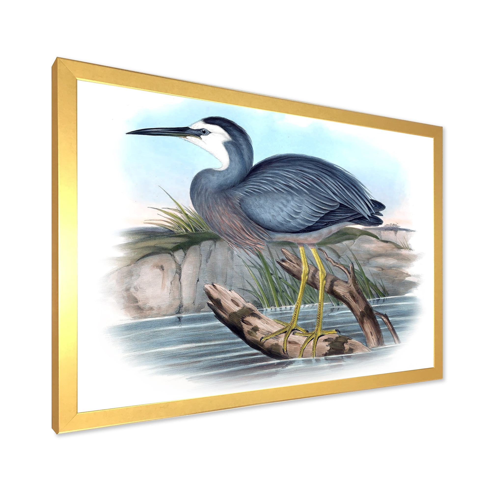 Designart 'Ancient Australian Birds II' Traditional Framed Art Print