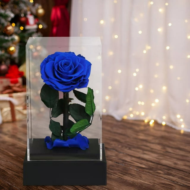 Rosa real preservada en caja de acrílico | Regalo de flor eterna para San Valentín | Recuerdo duradero para mujer, novia, esposa o mamá