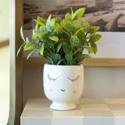 Mainstays Tabletop Artificial Faux Tea Leaf Plant in White Ceramic Shy Girl Pot, 3