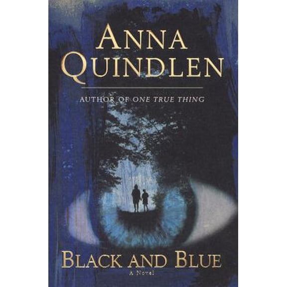 Pre-Owned Black and Blue: A Novel (Hardcover) 0375500510 9780375500510