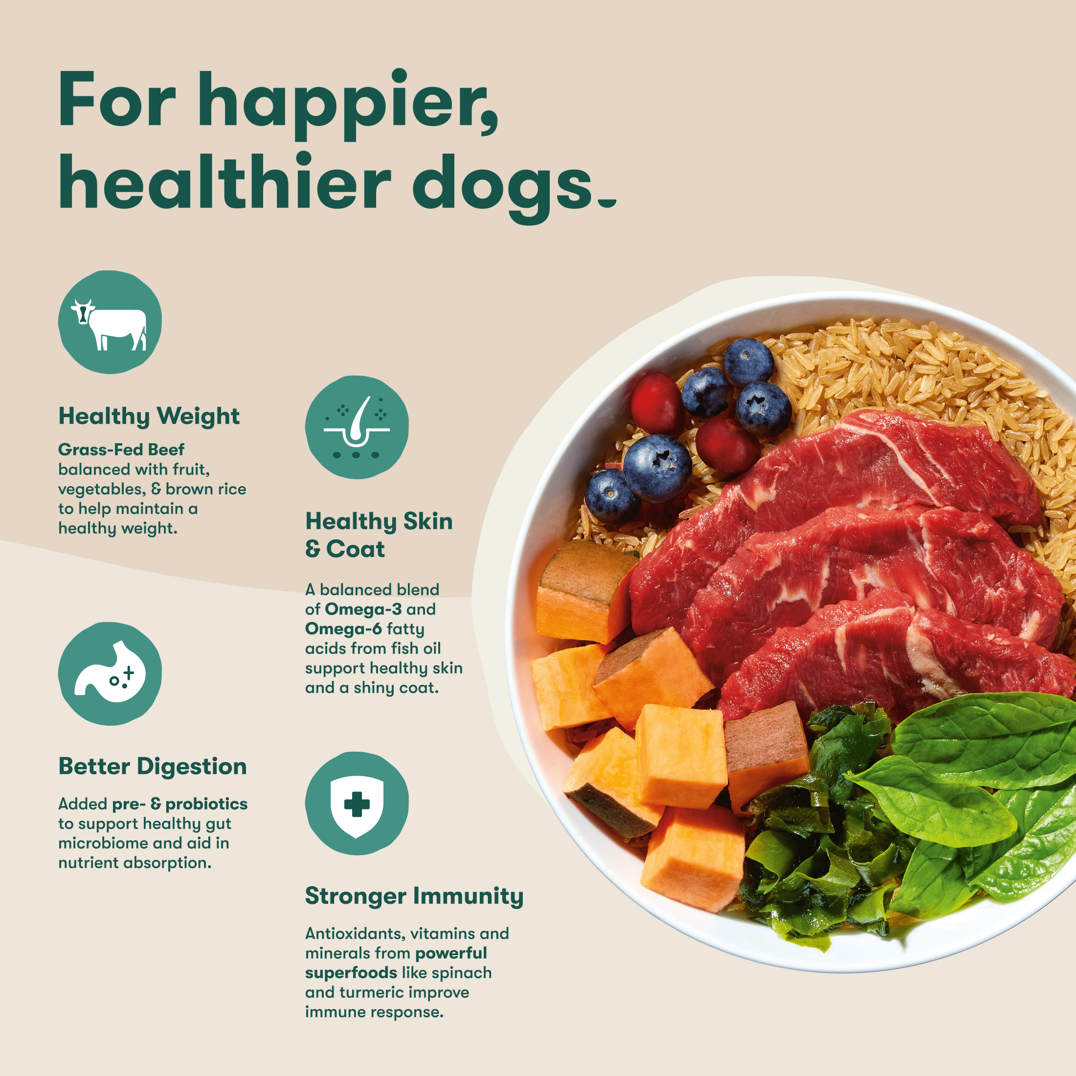 (4 pack) Jinx Grass-Fed Beef, Brown Rice & Sweet Potato Dry Dog Food for Muscle & Joint Support, 4 lb Bag