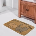 thumbnail image 5 of Funny Cat Doormat, Hope You Like Cats, Welcome Mat,Housewarming Gift For Cat Owner, Cat Rug, Cat Lover Gift, Funny Doormat, Home Decor, Welcome Mat,Indoor Doormat,Front Back Door Mat 17”x30”, 5 of 7