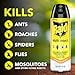 thumbnail image 5 of Raid Multi Insect Killer Aerosol Kills Ants Spiders Roaches and Flies No Lingering Chemical Odor Indoor and Outdoor Use 15 Ounce (Pack of 10), 5 of 5