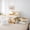 Beige, variant on Erosebridal Swimming Capybara Kid Twin Bedding Sets, Summer Ocean Seashell Bedding Comforter Set, 7-Piece