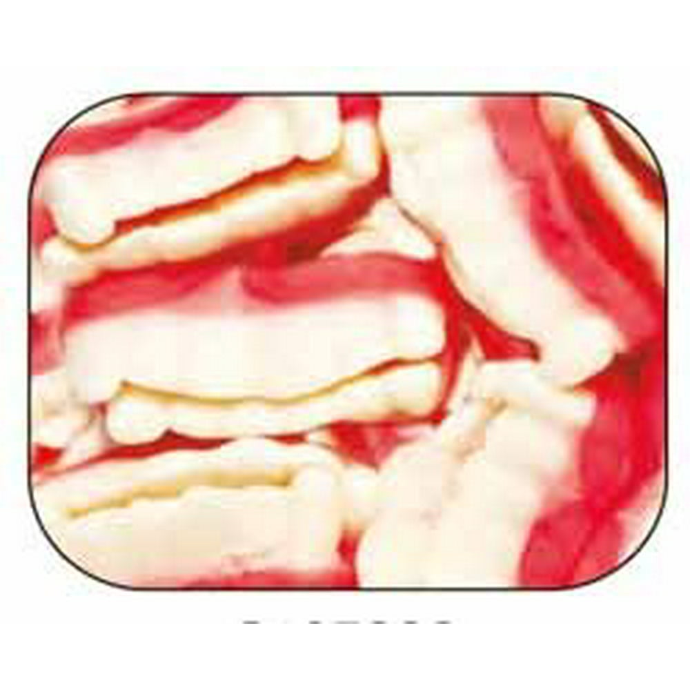 Gummi Gummy Teeth Candy 1 Pound Bag
