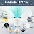 thumbnail image 5 of 2 Pack True H13 HEPA Replacement Filter Compatible with AIRFIRE AP201 Air Purifier, Captures 99.997% Wildfire Smoke, Pollen, Pet Dander and Odors, 5 of 9