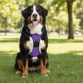 thumbnail image 6 of No Pull Dog Harness with Free Heavy Duty Leash, Adjustable Soft Padded Dog Vest, No-Choke Oxford Vest for Large Dogs (Purple), 6 of 7