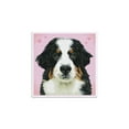 thumbnail image 3 of Diamond Dotz Say Hello to Zuzu - Pre-Framed Kit Dog Diamond Painting Kits for Adults - Diamond Art Kits a Relaxing Creative Craft Kit with Dotz Gems 11.4"x11.4", 3 of 4