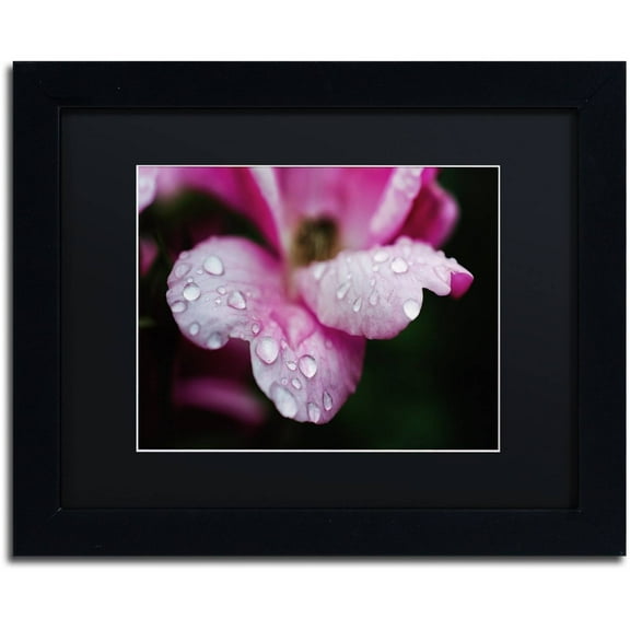 Trademark Fine Art 'Raindrops on Wild Rose Color' Canvas Art by PIPA Fine Art, Black Matte, Black Frame