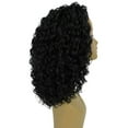 thumbnail image 3 of LUXLUXE Ada Curly 17.5 Inch Long 13x2.5 Hand-Tied Lace Front Wig, Great Heat Resistant Fiber, 20+ Shades of Natural, Dip Dyed, & Blended Colors (#1 - Black), 3 of 8