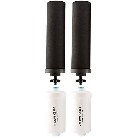 Black Berkey Filtres de Remplacement Filtres à Fluorure Pack Combo - Inclut 2 Filtres Noirs et 2 Filtres à Fluorure