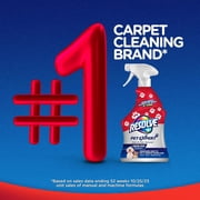 Resolve Pet Expert Carpet Cleaner Spray for Pets Stains and Odors, 22 oz