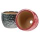 thumbnail image 3 of Decorative Ceramic Flowerpot Succulent Pot for Home 2Pcs Colorful Plant Pots, 3 of 3