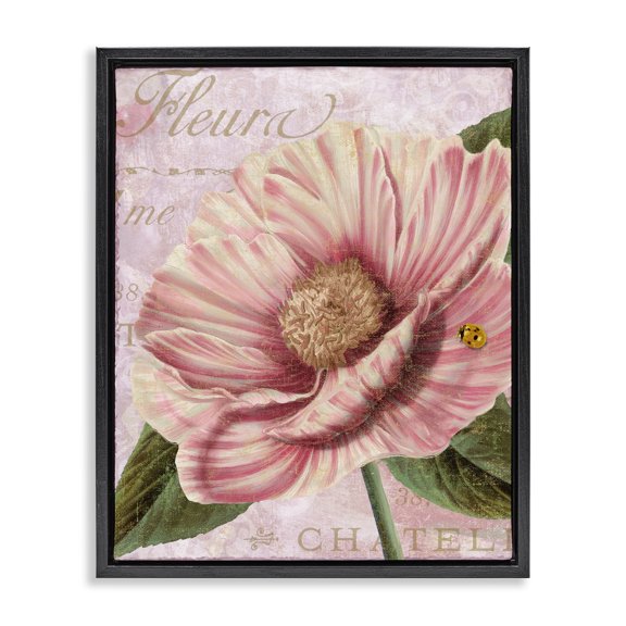 Stupell Industries Cottage French Flower & Ladybug Black Floating Frame Canvas Art, 17 x 21, by Sasha