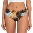 thumbnail image 1 of Balery Daisy Flower Field Cow Ropa Interior de Algodón para Mujer con Dibujo – Braguitas Cómodas y Elásticas, Estilo Clásico-Small, 1 of 6