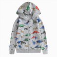 thumbnail image 2 of Gerichy Toddler Zip Up Hoodie Dinosaur Sweatshirt Fall Clothes Boys Fleece Jacket with Hoody 3T-12T, 2 of 7