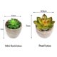 thumbnail image 4 of 6 piezas de plantas suculentas artificiales en macetas naturales, pequeñas plantas artificiales, decoración del hogar para su hogar, oficina, 4 of 6