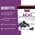thumbnail image 3 of FORCE FACTOR FUNDAMENTALS ACAI APOYO AL BIENESTAR 30 GOMITAS, 3 of 4