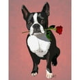 thumbnail image 3 of Fab Funky 12x14 Black Modern Framed Museum Art Print Titled - Boston Terrier with Rose in Mouth, 3 of 5