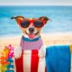 thumbnail image 1 of unbranded 4Ud Ropa Para Perros Pullover Y Transpirable Para Mascotas De Colores Variados, 1 of 5