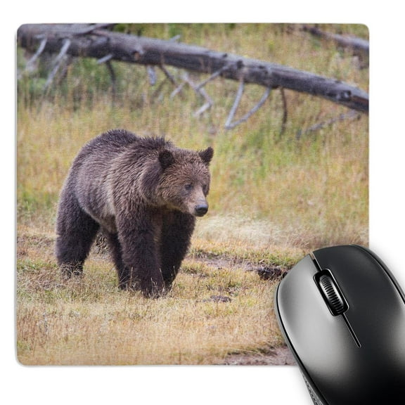 3dRose, Wyoming, Yellowstone National Park, Grizzly Bear., MousePad