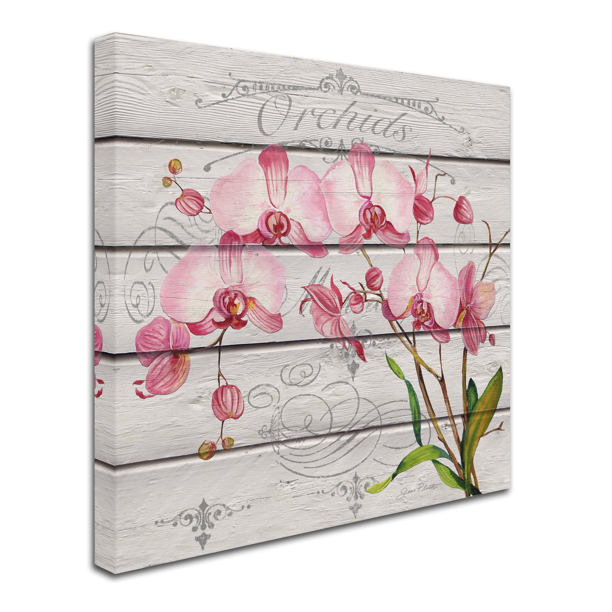Trademark Fine Art 'Pink Orchids' Canvas Art by Jean Plout