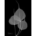 thumbnail image 2 of Koetsier, Albert 12x14 Black Ornate Wood Framed with Double Matting Museum Art Print Titled - BoTree E158, 2 of 4