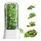 thumbnail image 2 of Conservador de Hierbas Frescas para Refrigerador, Contenedor de Cilantro Que Ahorra Espacio para Refrigerador - Protector de Hierbas para Cilantro y Espárragos de, 2 of 5