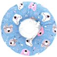 thumbnail image 1 of Collier de Protection pour Animaux, Collier de Récupération pour Chat, Collier Anti-Morsure Mignon pour Animaux, Collier Ajustable pour Chat, Collier en Coton PP Doux pour Guérison des Plaies après Chirurgie pour Animaux (Bleu), m, 1 of 4