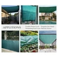 thumbnail image 2 of 50% Shade Net for Succulents - UV Protection & Long-lasting!, 2 of 8