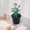 Z-Black4, variant on Clearance! Haidf 3 Gallon Nursery Pots, Thickened Soft Plastic Seedling Pots, Planter Pots for Indoor Outdoor Plants, Flower Seed Starting Containers for Succulents, Plant Containers, 6.5 Inch, Black