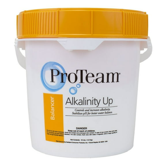 ProTeam Alkalinity Up 10lb Bucket 4pk Increase Alkalinity Level in Swimming Pool