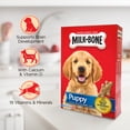 MilkBone Original Puppy Biscuits, 16 oz.