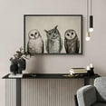 thumbnail image 3 of PixonSign Framed Canvas Print Wall Art Variety of Owl Portraits Vintage Antique Farmhouse Decor Nature Animals Modern Art Realism Cozy Decorative Colorful Multicolor - 16"x24" Black, 3 of 5