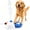 Orange, variant on Water Pedal Dog Toy – Paw Activated Fountain & Sprinkler for Dogs