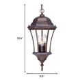 thumbnail image 2 of HomeRoots 397996 19.5 x 9.5 x 9.5 in. Bryn Mawr 3-Light Burled Hanging Wall Light, 2 of 2