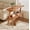Warm Brown, variant on Fnova End Table Narrow Side Tables Modern Wooden Sofa Table with Storage Shelf, Farmhouse Bedside Table, Easy Assembly, Corner Table, Drink Table for Living Room, Bedroom, Nightstand