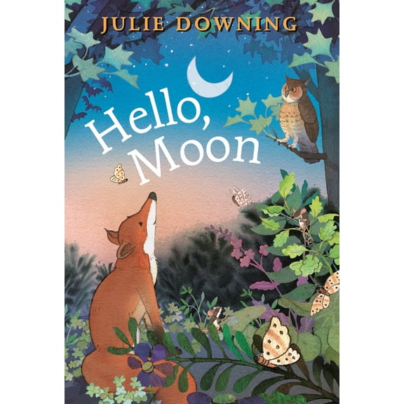 Hello, Moon, (Board Book)