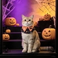 thumbnail image 4 of Oceanwell Halloween Pet Cape Collar Adjustable Cat Dog Witch Bandana With Bow Pumpkin Bat Print Decorative Ruffled Pet Neck Scarf For Cats Small Dogs, 4 of 5