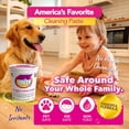 thumbnail image 4 of Quick 'n Brite All Purpose Cleaning Paste, True All Purpose Cleaner, Concentrated, 30 oz, 4 of 9