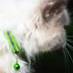 thumbnail image 5 of Collar para Gatos Mr. Pets, Reflectante, Ajustable verde Unitalla, 5 of 5