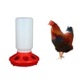 thumbnail image 4 of STAGA Chick Feeder and Waterer Combo 1 Chicken Feeder & 1 Chicken Waterer Birds Poultry Feeding Equipment Kit Red, 4 of 6