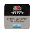 thumbnail image 2 of Fruit of the Loom® SELECT Men's V-Neck T-Shirt 2XL " 100% Cotton & EVERSOFT®" 2-PACKS, 2 of 4