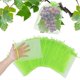 thumbnail image 1 of 100 Pieces 30x40cm Grape Protection Bag Green Fruit Protection Bag with Drawstring Organza Bag Transparent Mesh Bag Prevent Wasps Drosophila Insects B, 1 of 4