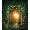 thumbnail image 3 of Fantasy Duvet Cover Set, Sunbeams Through the Mysterious Half Opened Wooden Entrance with Greenery, Decorative 3 Piece Bedding Set with 2 Pillow Shams, Queen Size, Green and Brown, by Ambesonne, 3 of 3