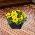 thumbnail image 1 of Revestimiento para Cesta de Macetero, Revestimiento de Repuesto para Plantas, Sartenes, Revestimiento de Fieltro, Revestimiento para Macetas, Jardín, 12 pulgadas 305x13cm, 1 of 8