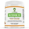 Ketosene XL? 30 Servings Extra Large Exogenous Ketones Powder - Kickstart Ketosis Within 1-Hour with a Pure Blend of Calcium and Magnesium Ketone BHB Salts (KetoVantage BHB) - for Keto Diet